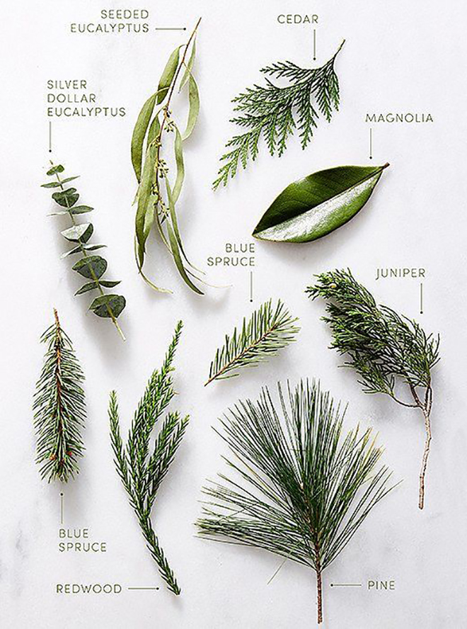 Winter Greenery Guide For Your Wedding - Something Turquoise